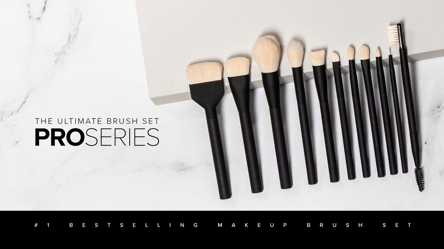 Shop the LARUCE PRO Series 11-Piece Makeup Brush Set