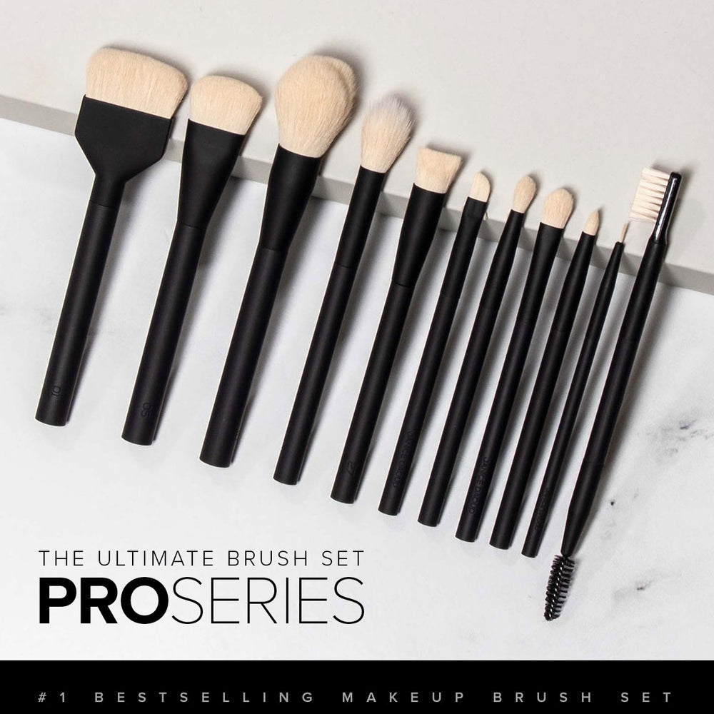 Shop the LARUCE PRO Series 11-Piece Makeup Brush Set